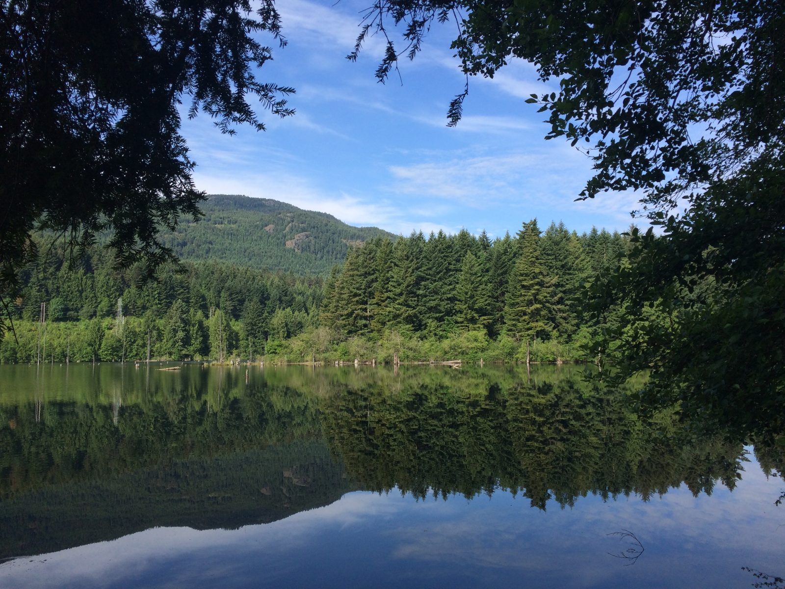 Nanaimo’s 15 Best Hikes NanaimoNewsNOW Nanaimo news, sports